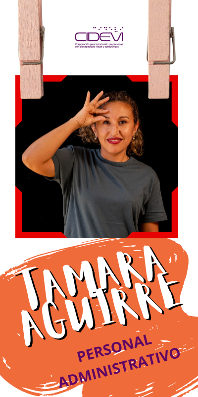 GRÁFICA DIRECCION EJECUTIVA TAMARA